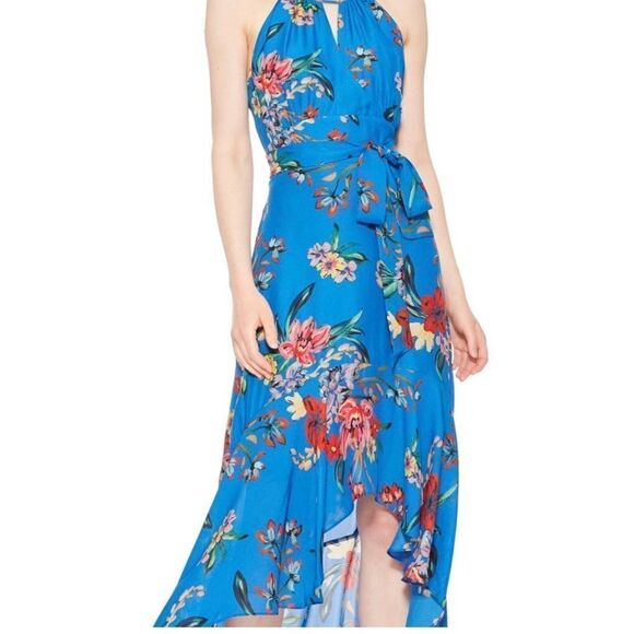 Parker Womens‎ Maxi Hi Low Davina Dress Floral Lined Halter Neck Blue Size 2 - Picture 1 of 14